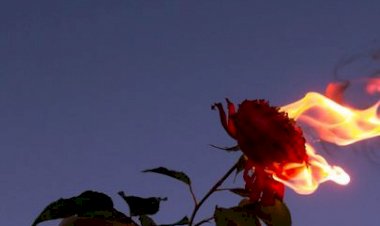 Muhalif - Nâgehân | #B1REB1R