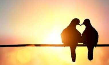 Seni Sana Anlatmasam