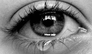 Ölü Adama Mektup 4