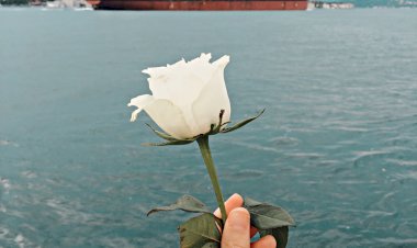 Kusurlarım, affedin...