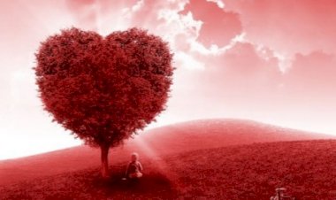 KALBİMİ GÖRÜYORUM