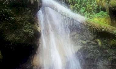 Mutlu Olmak İçin Yaşa