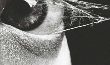 Hâlâ Özgür Olduğunuzu Düşünüyor Musunuz?