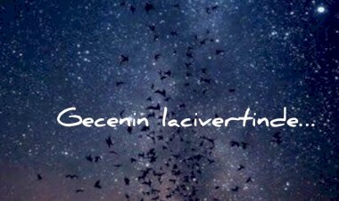 Gecenin Lacivertinde…