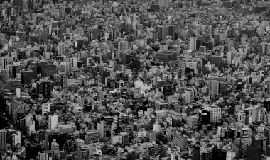 Çıbana sigara basama olgunluğu