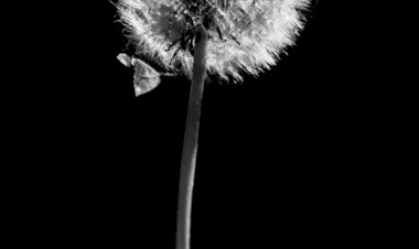 Sorgulamak Ne Yorucu!