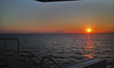 Duygularıma Karşın Renklerim