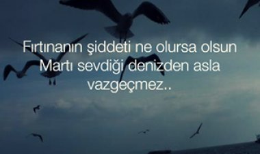 Seninle İken Sensizlik