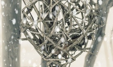 YALNIZ KALPLER CAMEKANI