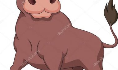 ÜÇ BOYUTLU ÖKÜZLER