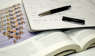 SINAV SINAV YİTER BEE!