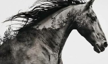 Kaybımız Olacaklar Olsun..