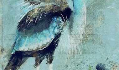 YETİŞKİNLERE MASALLAR : Yılan, Çiftçi ve Balıkçıl Kuşu