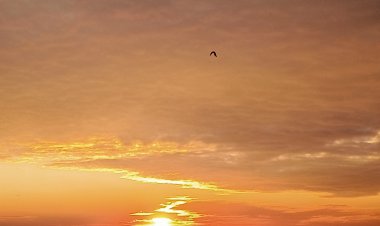 Batışın, en güzel yansıması..