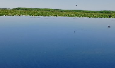 Göksel - Denize Bıraksam