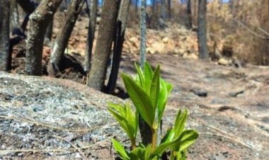 SORUMLU DEĞİL MİYİZ  HİÇ  BİRİMİZ!