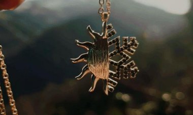 Portakal Ağacı Kış Güneşi