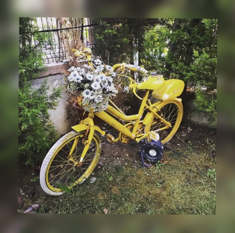 Sarı Bisiklet…