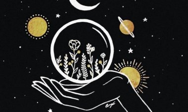 Şiir, hikaye, öykü