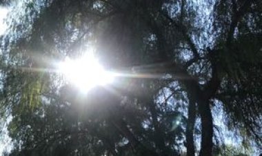 PANDEMİDEN GERİYE KALAN