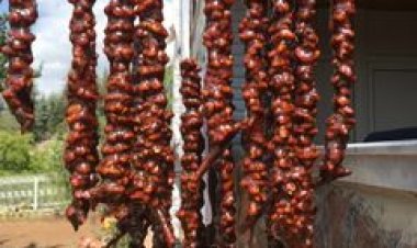 DİLLERDEKİ ÖZLÜ VE GÜZEL SÖZLER 2