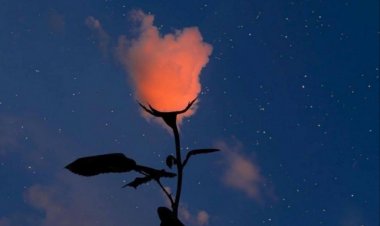 HAYAT VARSA,UMUT VARDIR !!!