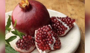 Şiir okumak yetmez…