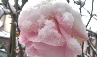 HAVADA BULUT, YERDE KAR, GECEDE GÖKGÜRÜLTÜSÜ