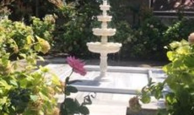 YAŞLI PSİKOLOJİSİ