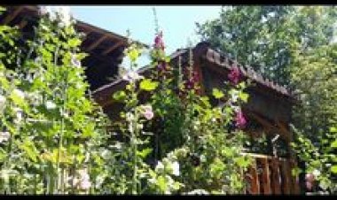 EVİMİN AĞIRLADIĞI ,GÖNLÜMÜN DEĞİL !