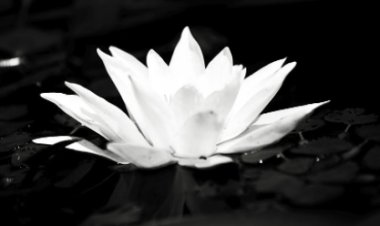 Ruhumun Ait Olduğu Yer Karanlık - 1