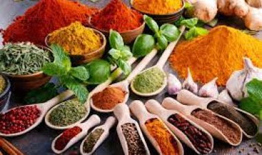 ZAMANA YOLCULUKTA GENÇ BİR AKTARCI