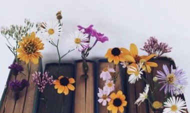 HUZUR BULDUĞUM DÜNYAM