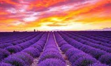 Hayat zor değil, zor olan insanlar olduğu için hayat zorlaşıyor.