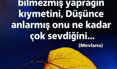 Oradan buradan hayatların içindeki insanlar...