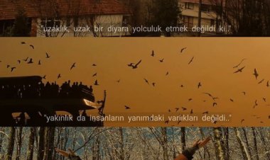 Senin Sevmeme İhtimalini Unutuyorum