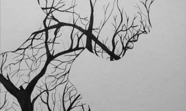 Salıvermek Kökleri Özgürce