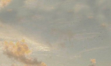 benim hayatım benim kararlarım...