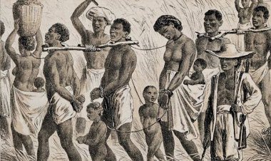 Arşiv 2 (Özgürlük)