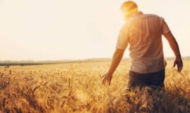 GELSİN DE ALSIN AKLIM