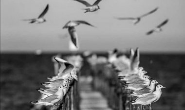 Keşkeler Çıkmazı