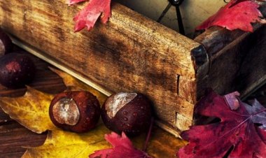 Yumurta Akı Gibi Değer