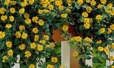 cevapsız nedenlerim