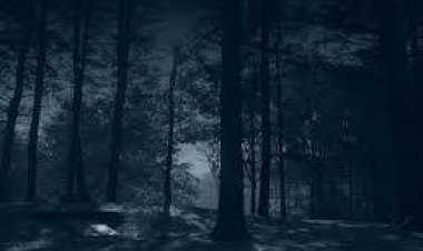 Ölümcül Sır (Bölüm 1)