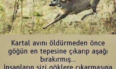 DEĞER DEDİĞİN...