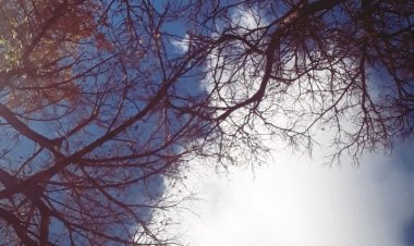 Gökyüzünden Bir Yıldız Seçtim