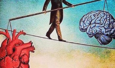 Kalp Ve Zihnin Dansı