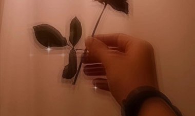 SEVGİNİN GÖLGESİNDE