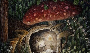 Günlüğüm ve ben : Kirpilerden hayat dersleri