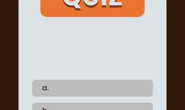 Edebiyat bilgi yarışması